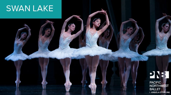 brand_PNB_SwanLake2018.jpg