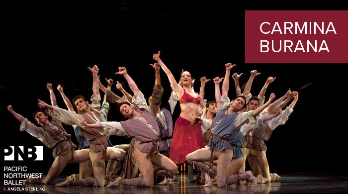 branding-CarminaBurana2015.jpg