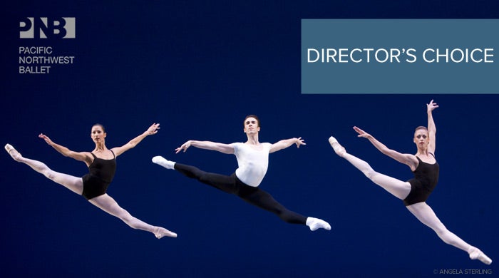 branding-DirectorsChoice2012