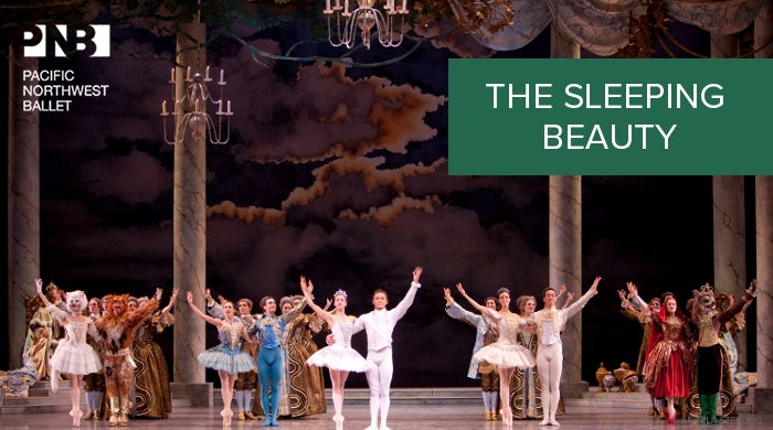 branding-SleepingBeauty.jpg