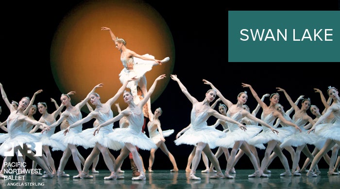 branding-SwanLake.jpg