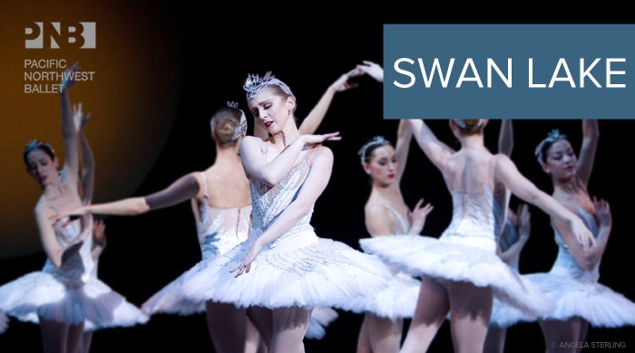 branding-swanlake2012